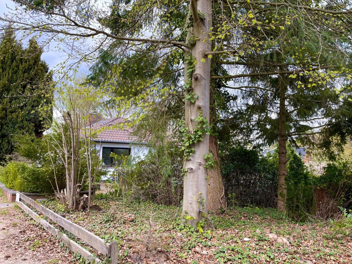 Ferienwohnung Hitzacker/Elbe Exterior foto
