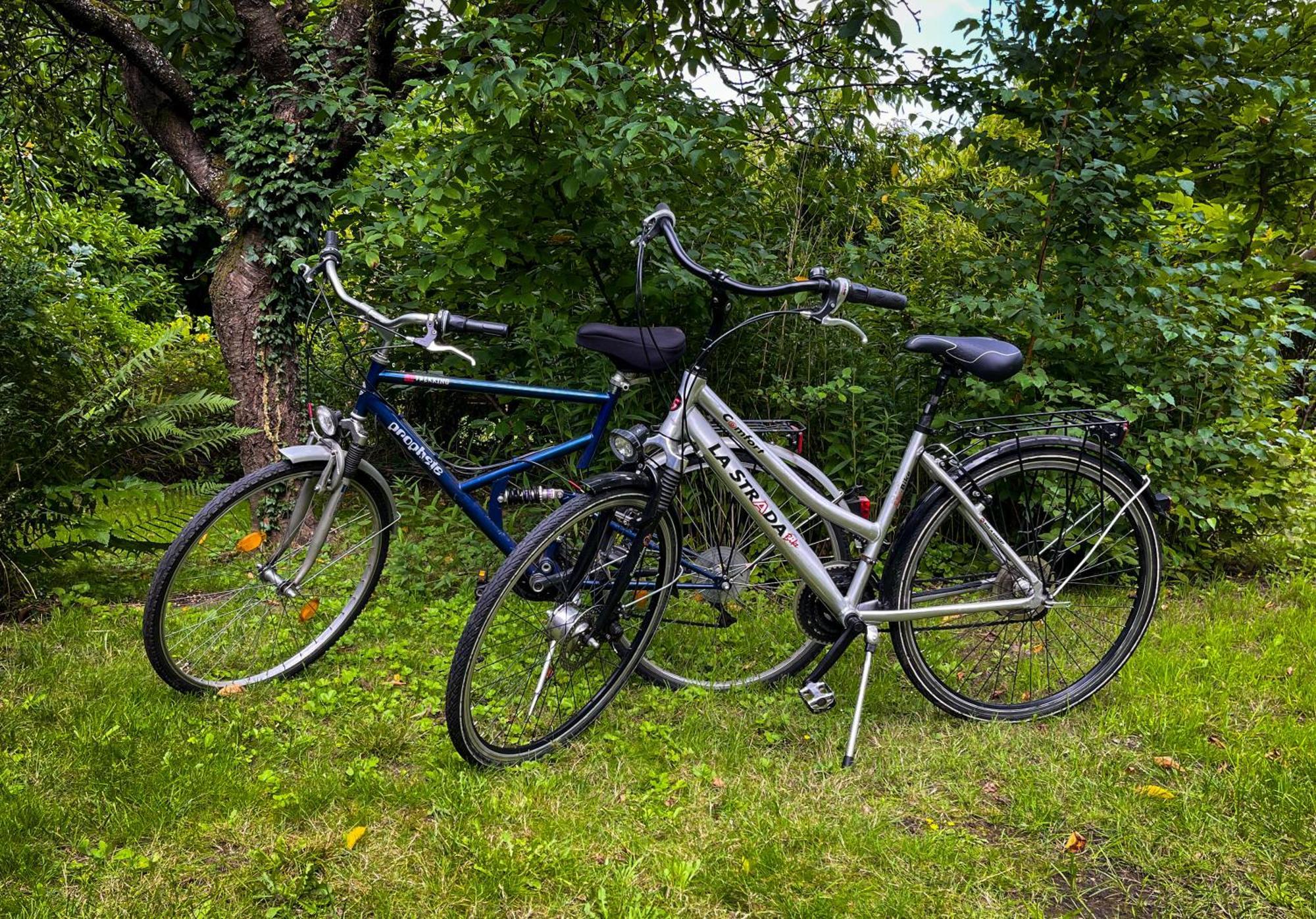 Ferienwohnung Hitzacker/Elbe Exterior foto